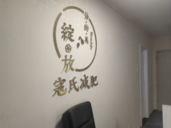 -寇氏减肥