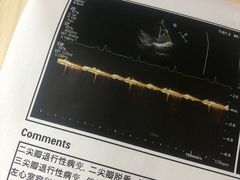 -美联众合动物医院·24h转诊中心