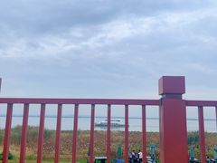 -七的湖·晚芳亭·阳澄湖农家菜·大闸蟹(莲花岛店)