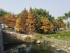 -厦门园林博览苑
