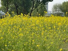 -长白岛森林公园