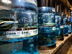 -老船舫·现做活鲜鱼馆(东郊记忆店)