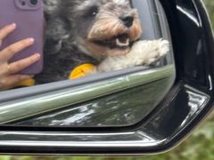 -鲁山国家森林公园