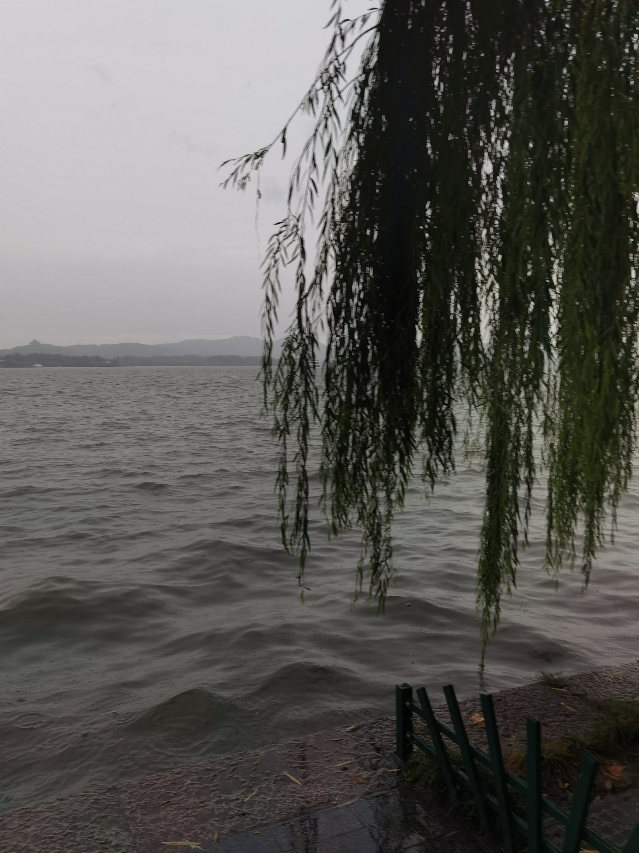 雨中西湖的美景