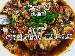 -东苑餐厅(厦门大学店)