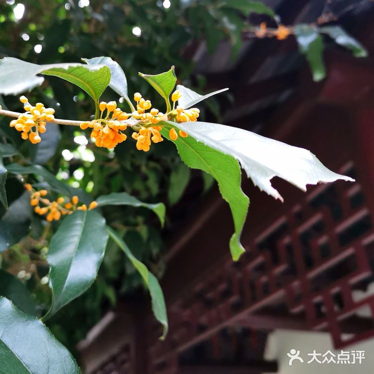 镇江.西津渡||观音洞.铁柱宫