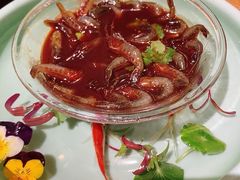 -荟廷·晶萃(陆家嘴尚悦湾店)