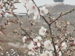 -定都阁