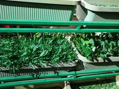 -大匠工房古船木艺术餐厅·猪肚鸡专门店(长白仙岛店)