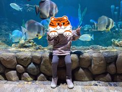 -华夏文旅海洋公园