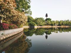 -杭州城北体育公园