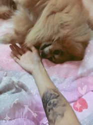 -周忆刺青原创设计定制