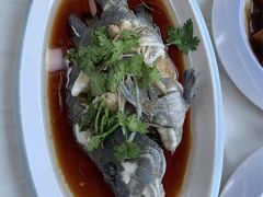 -日照大牌檔•小船海鲜(万平口店)