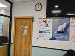-中农大我爱我爱动物医院·核磁CT·猫病·24小时夜诊中心(石佛营店)