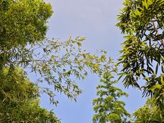 -南翔镇银翔湖公园