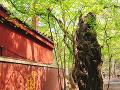 -天门寺