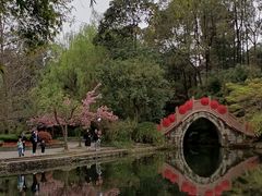 -棠湖公园