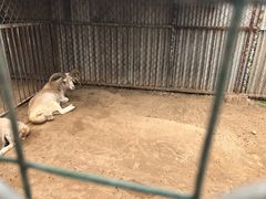 -河北村民俗体验园