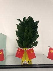 -I+造型烫发染发