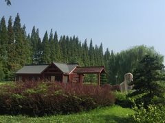 -金岛生态园烧烤露营地