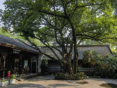 -成都武侯祠博物馆