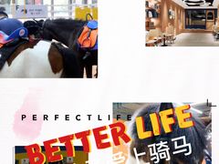 -骑乐马术(广州奥体优托邦中心)