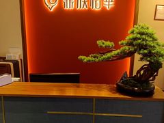 -鼎族怡华·指压·油压·经络(西单昌盛大厦店)