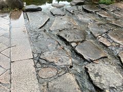 -中国茶叶博物馆(双峰馆区)