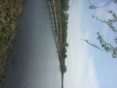 -白渔泡湿地公园