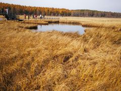 -塞罕坝国家级自然保护区
