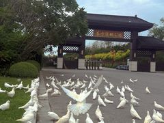 -东方华地城湿地温泉度假区