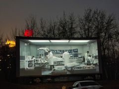 -枫花园汽车电影院(朝阳公园店)