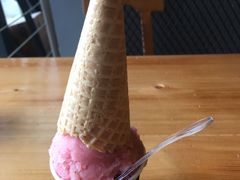 -野人牧坊Gelato(天津南开大悦城店)