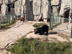 -鄂尔多斯野生动物园