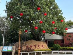 -厦门园林博览苑