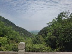 -韬光茶庵