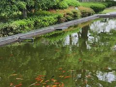 -八大山人梅湖景区