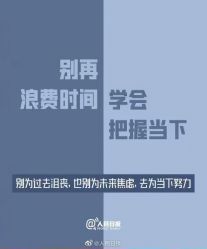 点击看大图 -玛莲朵·海菲秀冰珀科