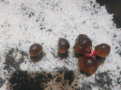 -荷风细雨·中国茶宴(碧云店)