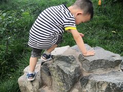 -莲湖公园