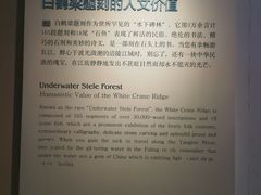 -白鹤梁水下博物馆