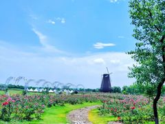 -漩门湾国家湿地公园