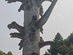 -自然谷恐龙园