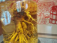 -九江双蒸博物馆