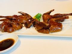 乳鸽-三号黄浦会Canton Table