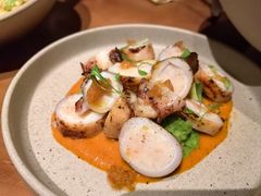 酿馅儿小鱿鱼-OTIUM • 柴屿麦(亮马桥店)