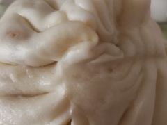 大肉包-白玉兰食品(甜云店)