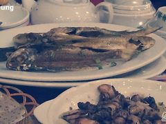 -湛江渔港·大排档(乐园路总店)