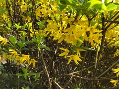 -苏州河梦清园环保主题公园