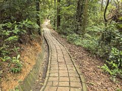 -火炉山森林公园